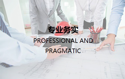 专业务实